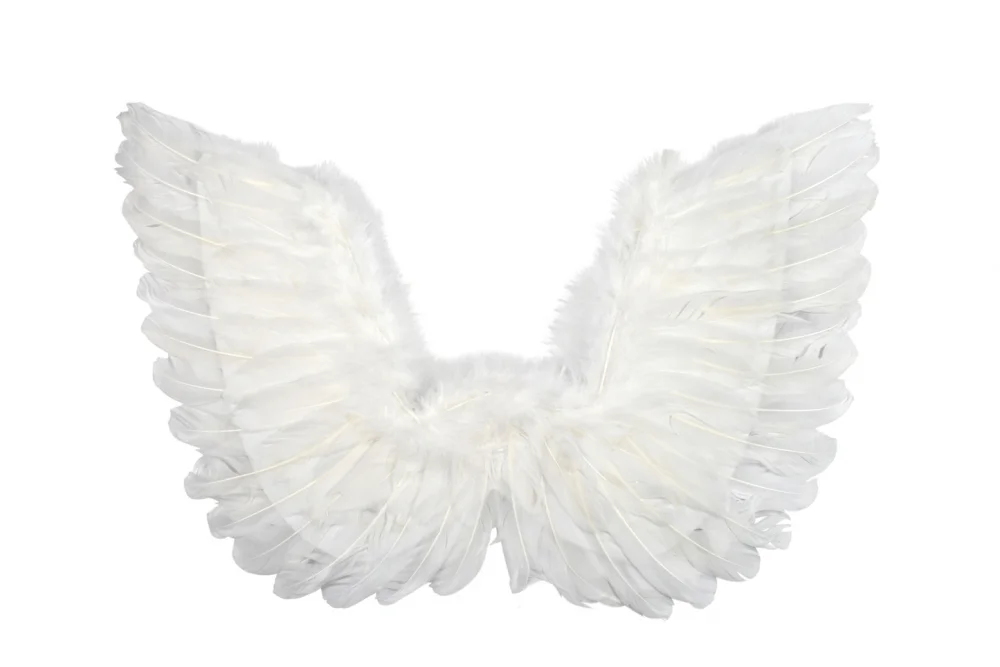 White Angel Wings Small 50 x 40cm