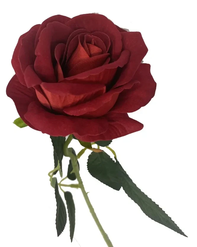 Rose - Red Velvet