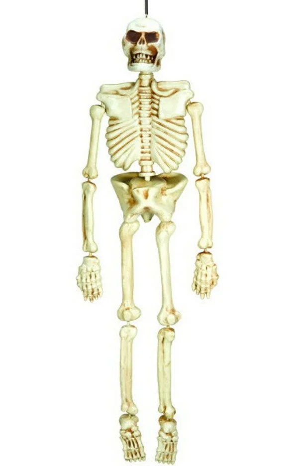 Life-Size Hanging Skeleton Prop (1.52m)