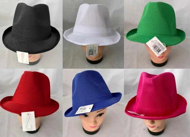 Asstd. Colours Adults Lightweight Fedora