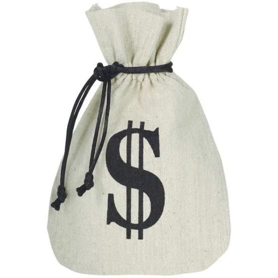 Burlap Money Sacks Favor Bags - Pk 8