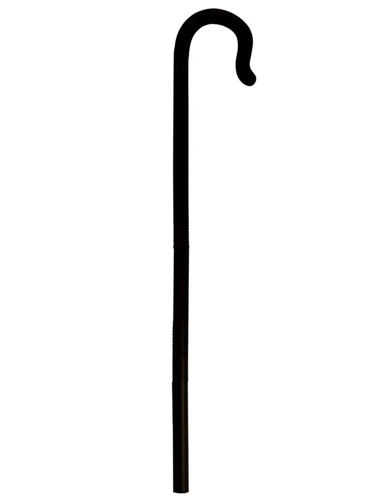 Child Walking Cane