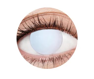 Blind White Contact Lenses (1 Year)