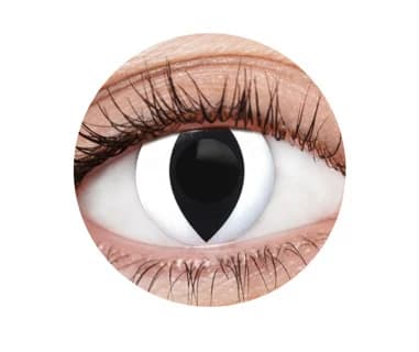 White Cat Contact Lenses (1 Year)