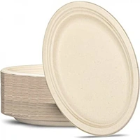 Sugarcane Oval Plates 325x260mm Natural - Pk 50