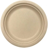 Natural Sugarcane Paper Plates (23cm) - Pk 10