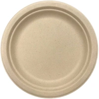 Natural Sugarcane Paper Plates (18cm) - Pk 10