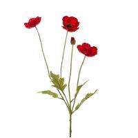 Red Poppy with Black Centre - 4 heads (includes 1 bud)