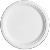 White Sugarcane Paper Plates (23cm) - Pk 10