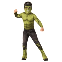 Kids Hulk Classic Costume