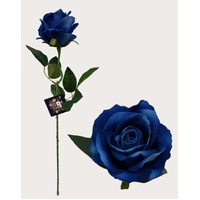 Rose - Blue Velvet