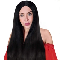 Adults Long Black Centre Part Wig