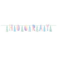 "Hooray" Shimmering Iridescent Tassel Garland (3m)*