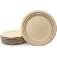 Natural Sugarcane Paper Plates (23cm) - Pk 50