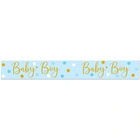 Baby Boy Blue & Gold Holographic Dots Banner (2.7m)