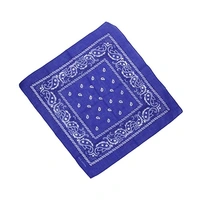 Blue Paisley Bandana