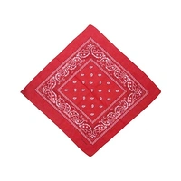 Red Paisley Bandana