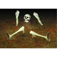 Groundbreaker Skeleton Yard Decoration Kit