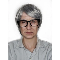 Short Old Timer Grey Wig