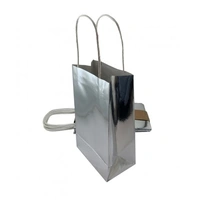 Paper Party Bag - Metallic Silver - Pk 5