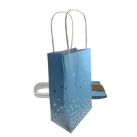 Paper Party Bag - Blue & Silver - Pk 5