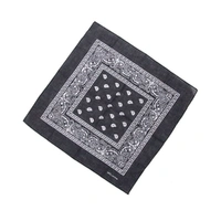 Black Paisley Bandana