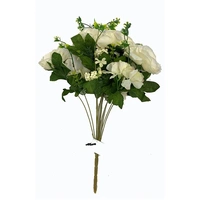 White Silk Cabbage Rose Bush, 48cm