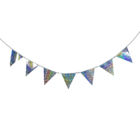 Holographic Silver Bunting (3.5M)