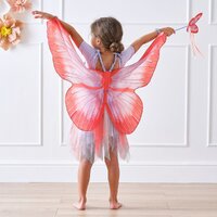 Kids Butterfly Wings Costume