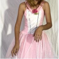 Kids Enchanted Pink Princess Gown Costume