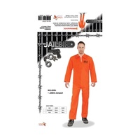 Adults Jailbird Prisoner Costume