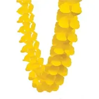 Yellow Paper Honeycomb Garland (4M)