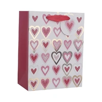 Valentine Hearts Gift Bag Medium (18 x 23 x 10cm)