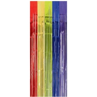 Metallic Rainbow Fringe Curtain (2.4 m)